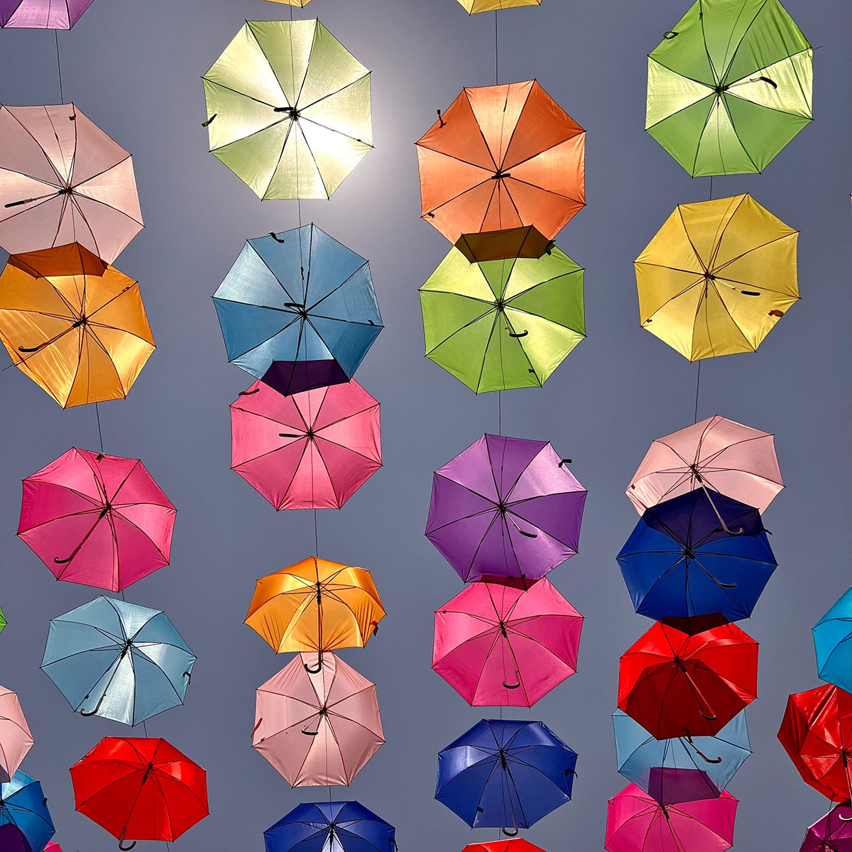 different colored umbrellas