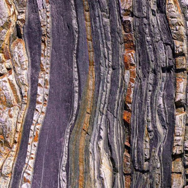 A sheet of rock showing its layers.