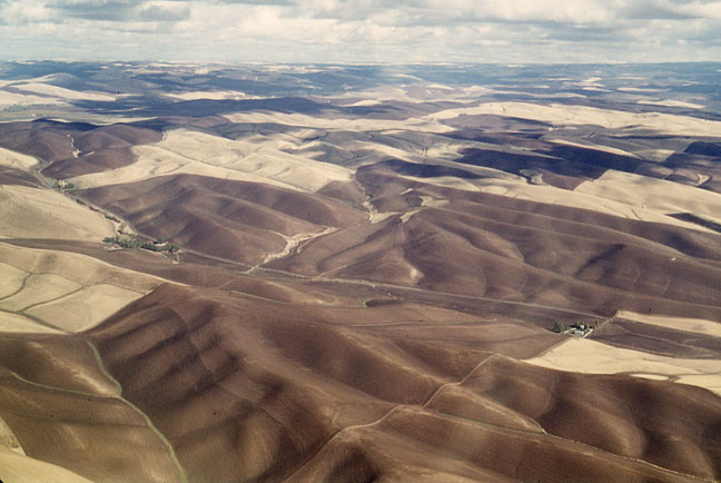 Palouse Hills