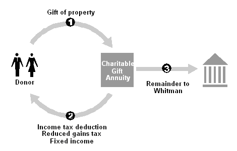 Example of Immediate Gift Annuity