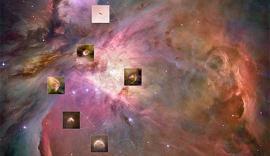 Planetary systems now forming in Orion