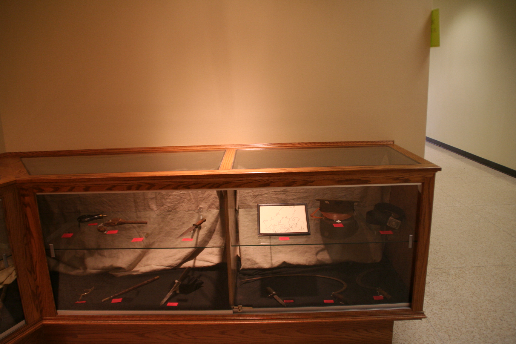A glass case lined with red velvet, filled with guns and knives of various sorts.