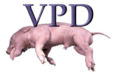 Virtual Pig Dissection header image
