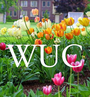 Spring flowers with 