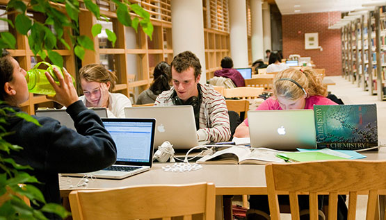 Image result for college student in library