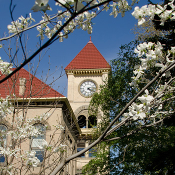 Memorial Building amongst the Spring blooms