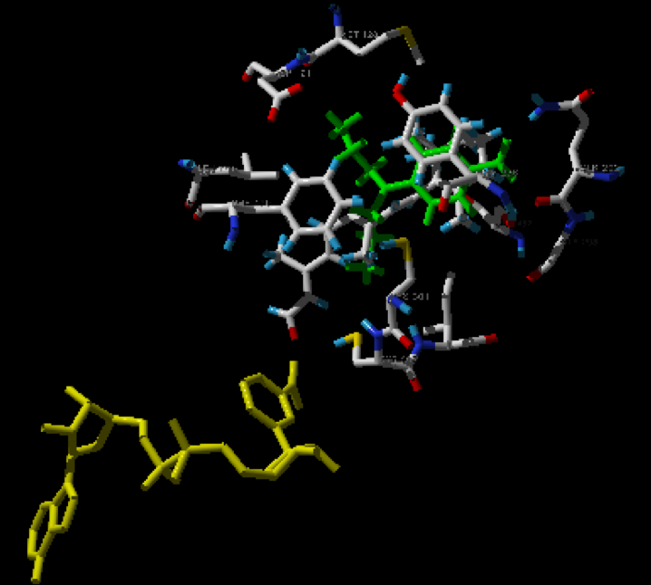 chemistry model