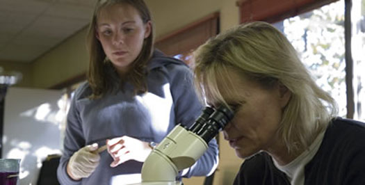 Biochemistry, Biophysics and Molecular Biology