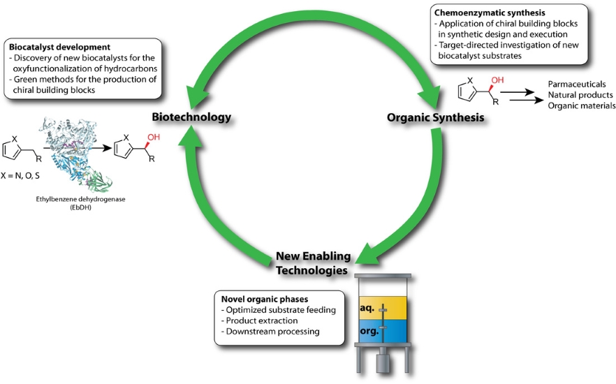 Biotechnology, Organic Synthesis and New Enabling Technologies diagram