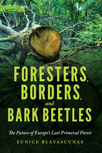 Book cover of Foresters, Borders and Bark Beetles