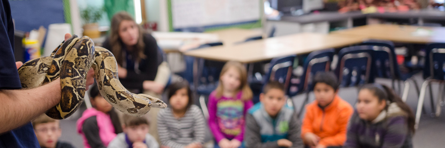 Snakes Alive Classroom Program