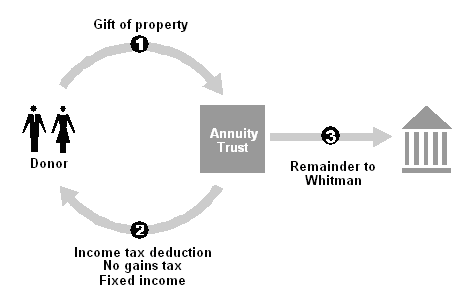 Example of Charitable Remainder Annuity Trust