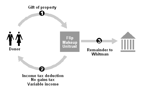 Example of Flip CRUT