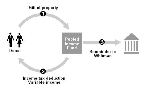 Example of a Pooled Income Fund