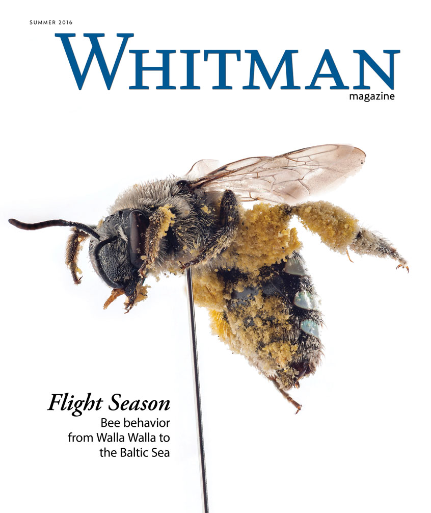 Whitman Magazine - Summer 2016 issue cover