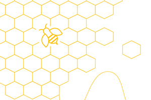 Bees and honeycomb