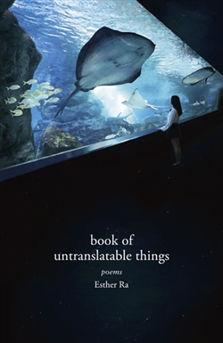 Book of Untranslatable Things cover