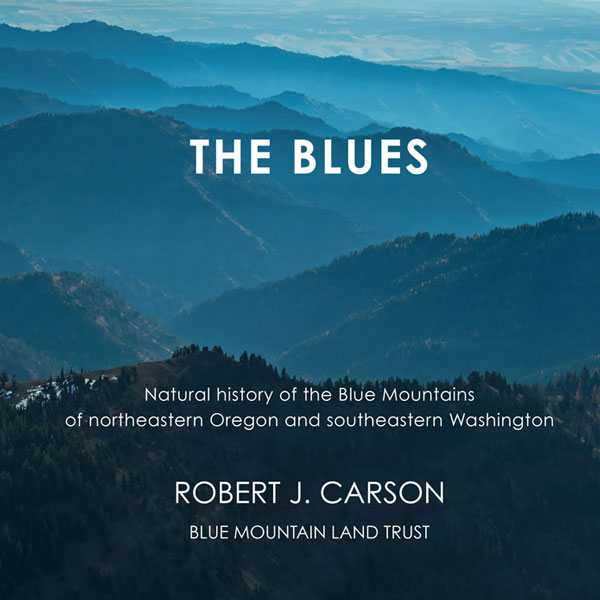 "The Blues" bookcover