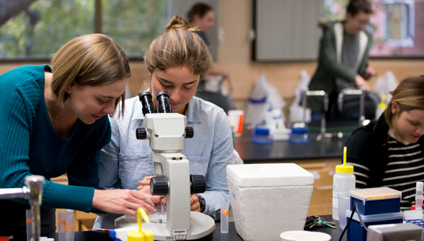 Associate Professor of Biology Arielle Cooley and her students explore the patterns that arise from molecular codes