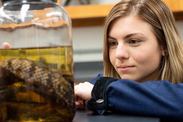 Biology student looking at a snake specimen inside a jar.