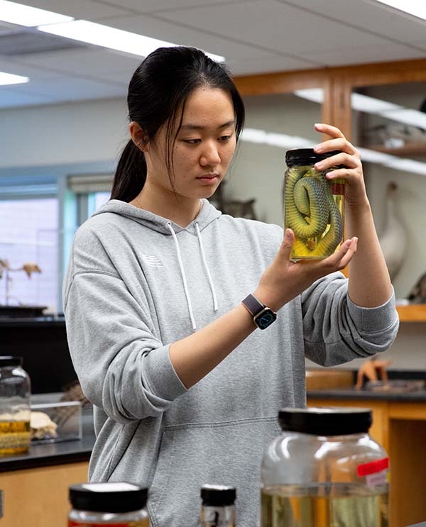 Biology student looking at a snake specimen inside a jar.