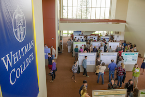 Students showcase their scholarly pursuits during a poster session in 2015 in the Cordiner Hall foyer. 