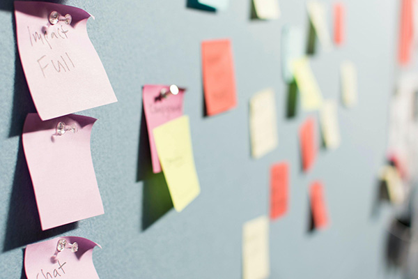 Whitman Approves New Concentration in Human-Centered Design