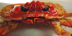 deep crab
