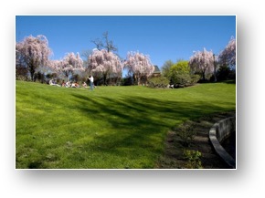 Amphitheater
