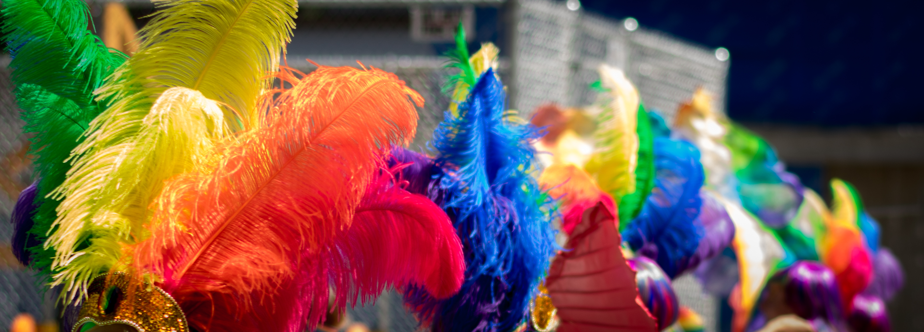 Colorful Pride photo for Gender Studies Homepage