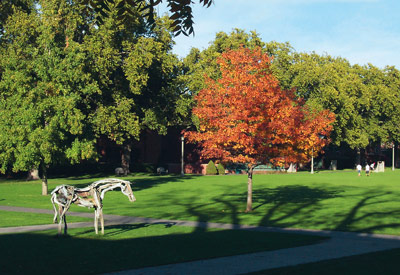 Ankeny Field, Styx sculpture