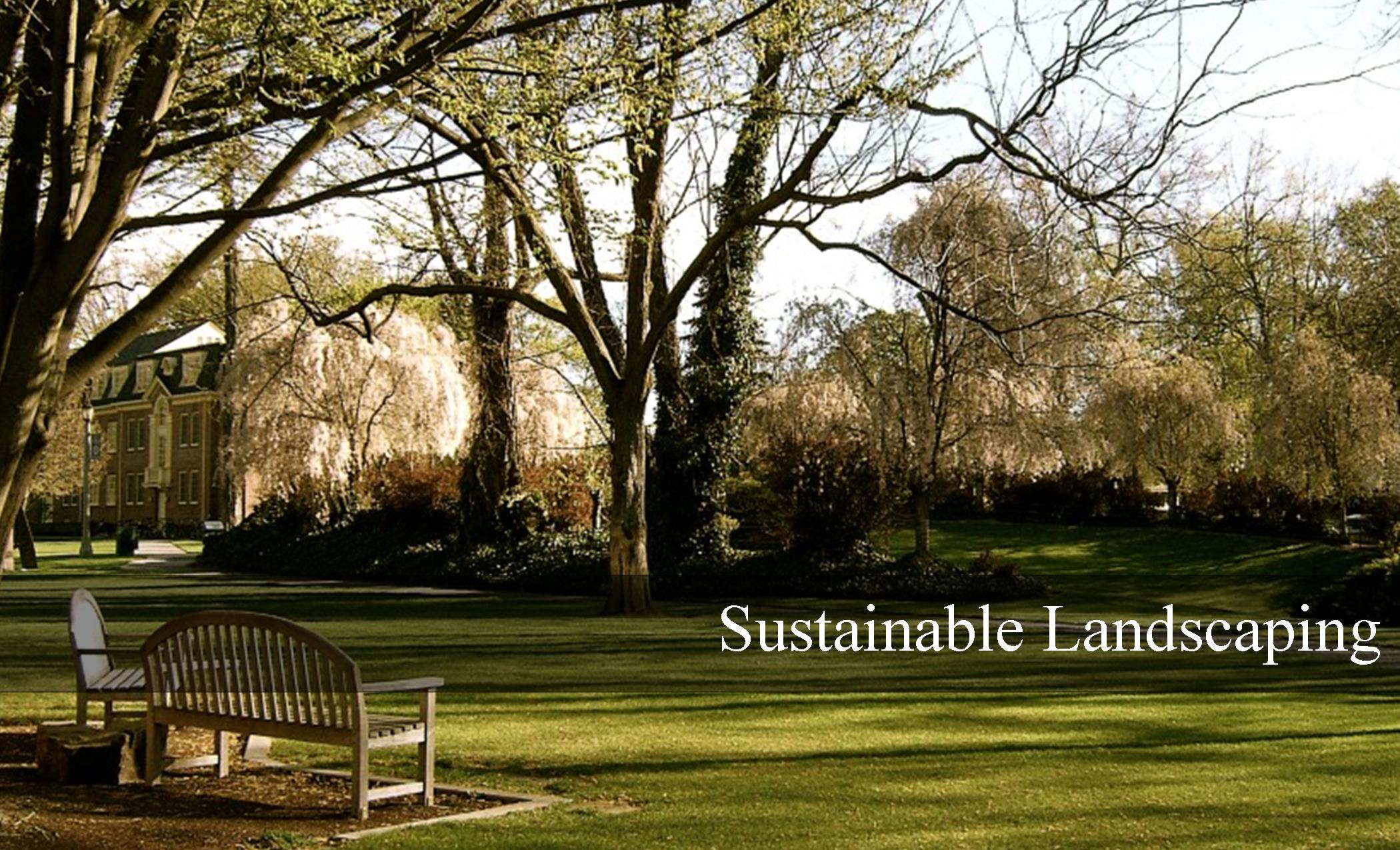 Image of outdoor benches and trees