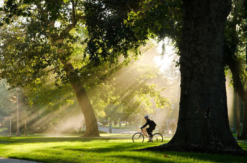 Person riding on bicycle across campus