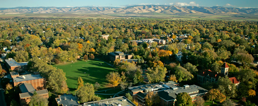 Whitman campus from the air