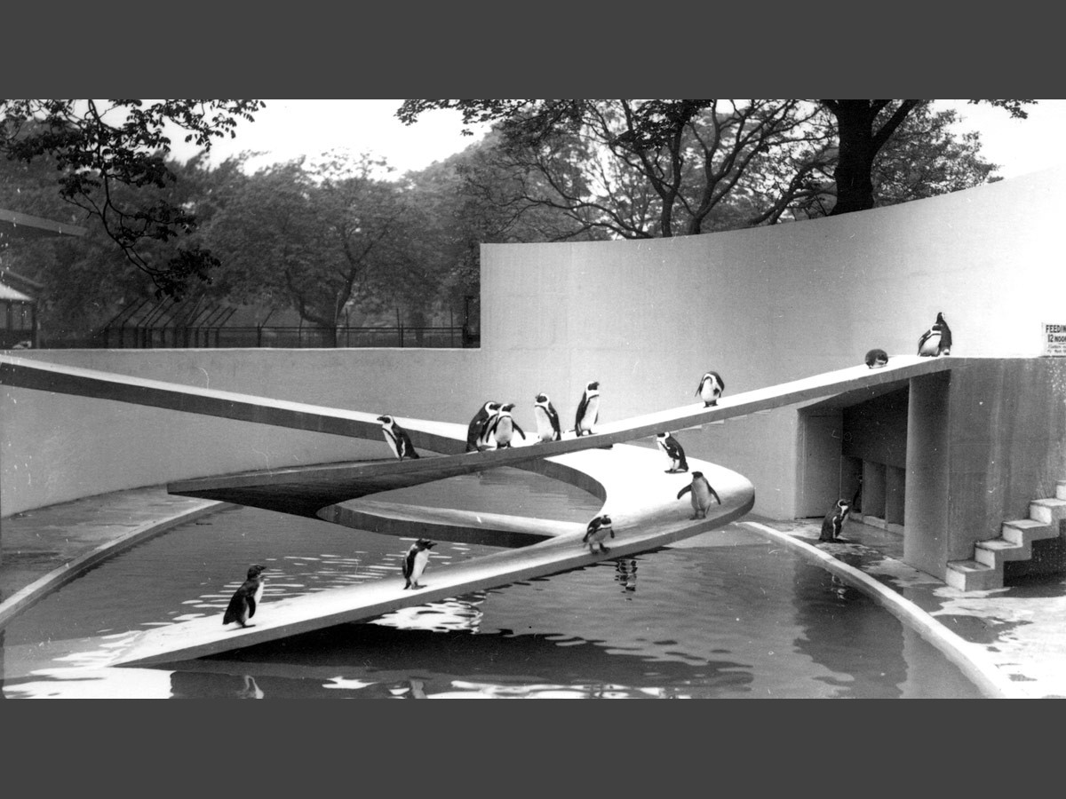 Postcard of the Penguin Pool at London Zoo designed by Berthold Lubetkin, Lindsay Drake, Tecton, 1933-34.