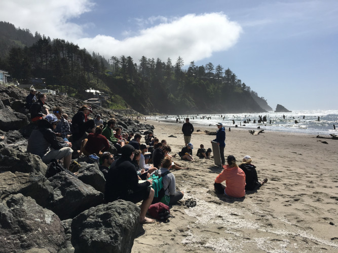 A group of about 30 people on a beach, sitting on a rip-rap wall next to a drowned forest. In the background are houses, just above sea level.