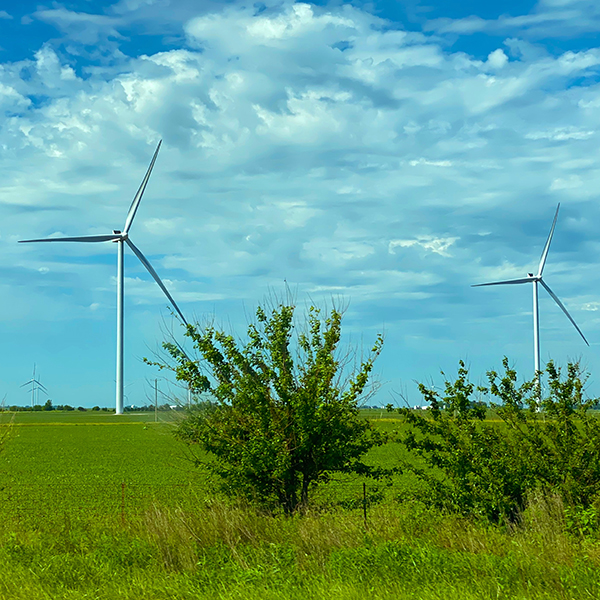 Wind turbines in a field.