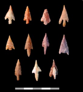 haparsa