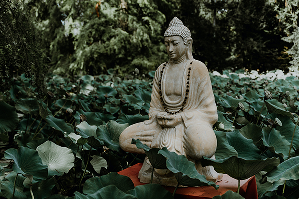 Statue of Buddha in garden.