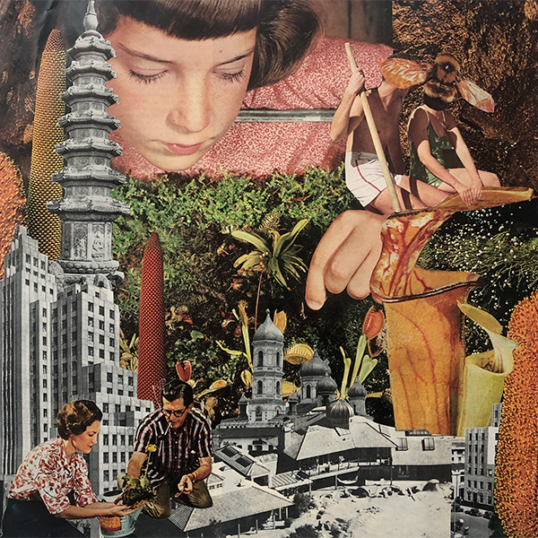 Collage art