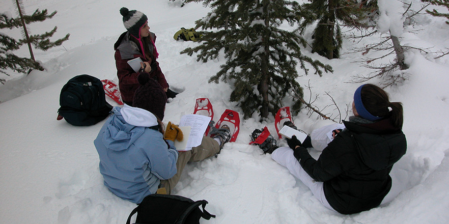 Students examining tree