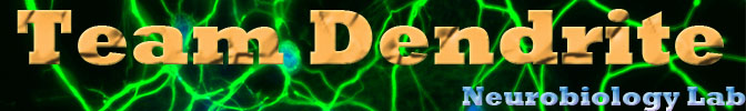 Team Dendrite Lab Header