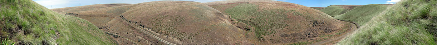 Contrast between north and south-facing slopes in early summer