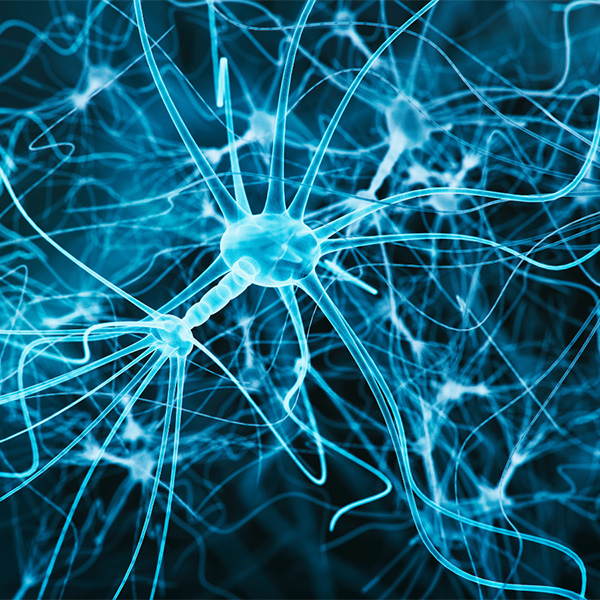 Neuro pathways.