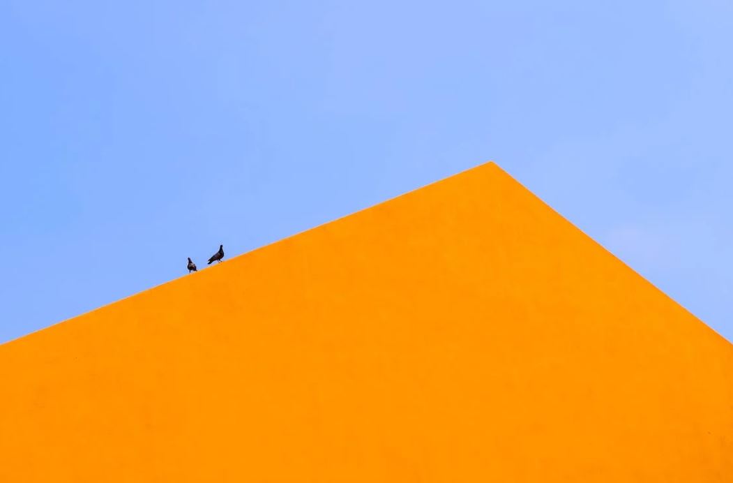Birds on a roof.