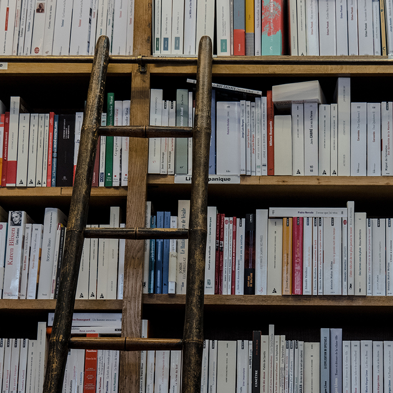 Book shelves with ladder.