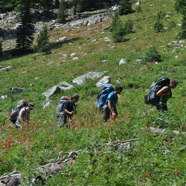 Hikers.