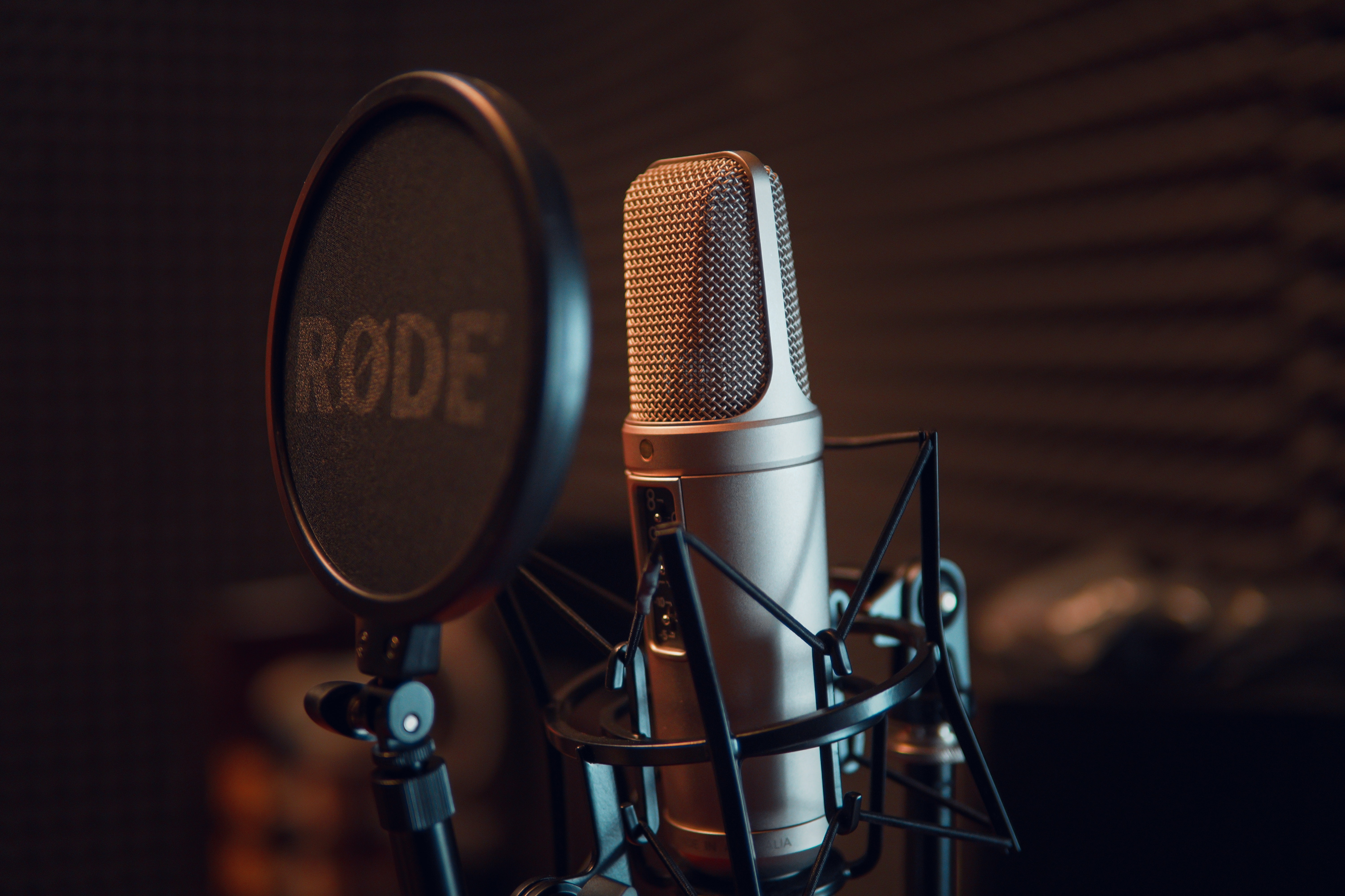 Microphone and a pop guard.