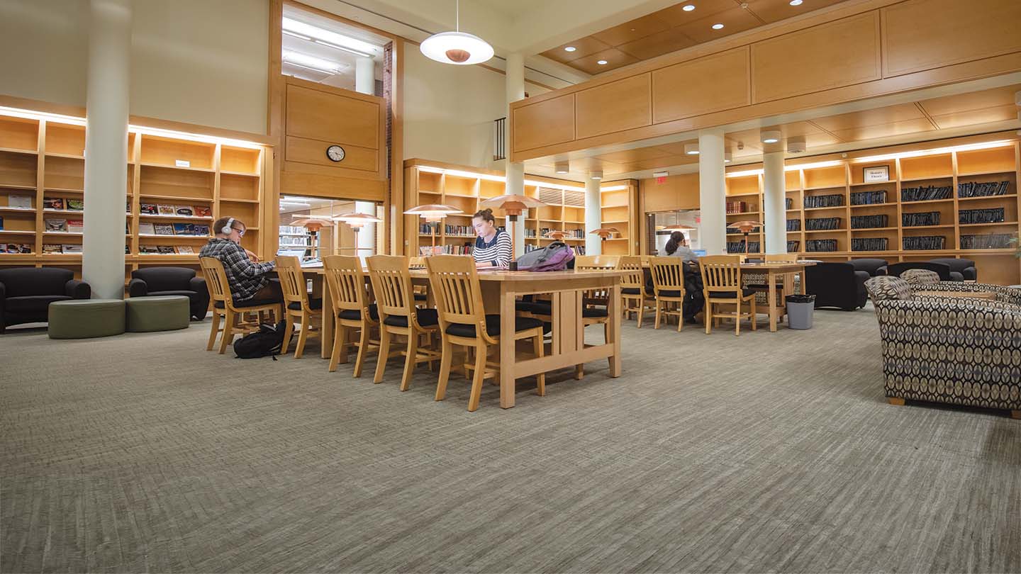 Students studying in the library