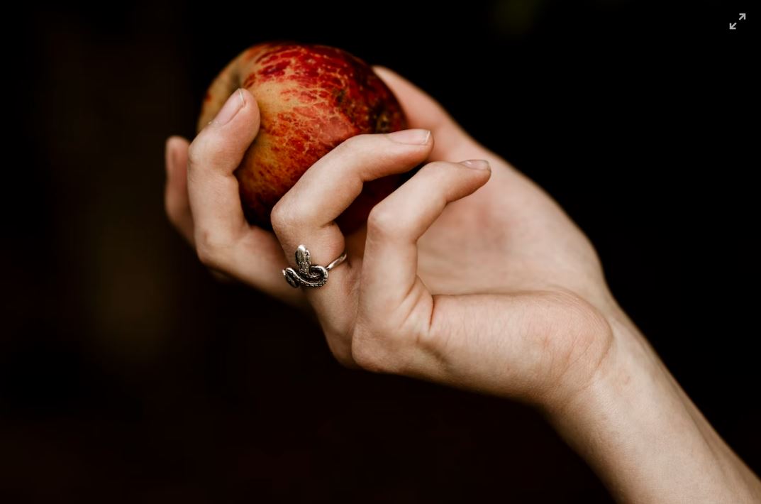Hand holding an apple.